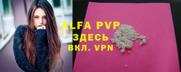 PSILOCYBIN Гусев