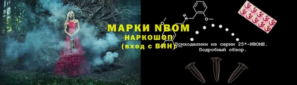 PSILOCYBIN Гусев