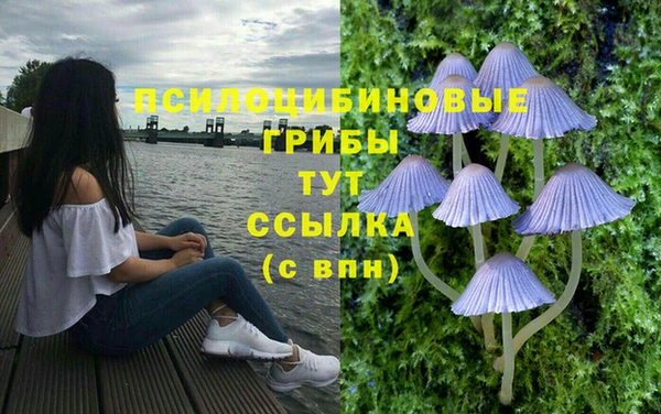 спайс Горняк