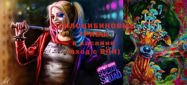 PSILOCYBIN Горно-Алтайск