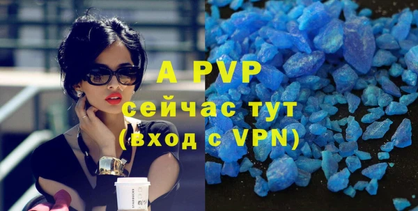 PSILOCYBIN Горно-Алтайск