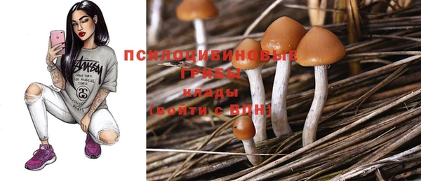 ГАЛЛЮЦИНОГЕННЫЕ ГРИБЫ Гусиноозёрск