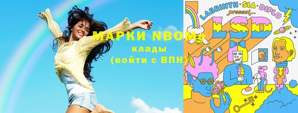 PSILOCYBIN Горно-Алтайск